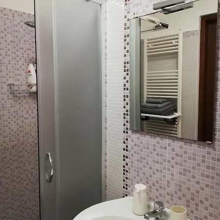 Ch Guest 韦尔诺莱